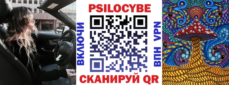 Псилоцибиновые грибы Cubensis Яровое