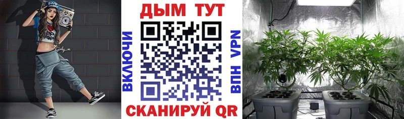 Купить  Яровое  Бошки марихуана тримм 
